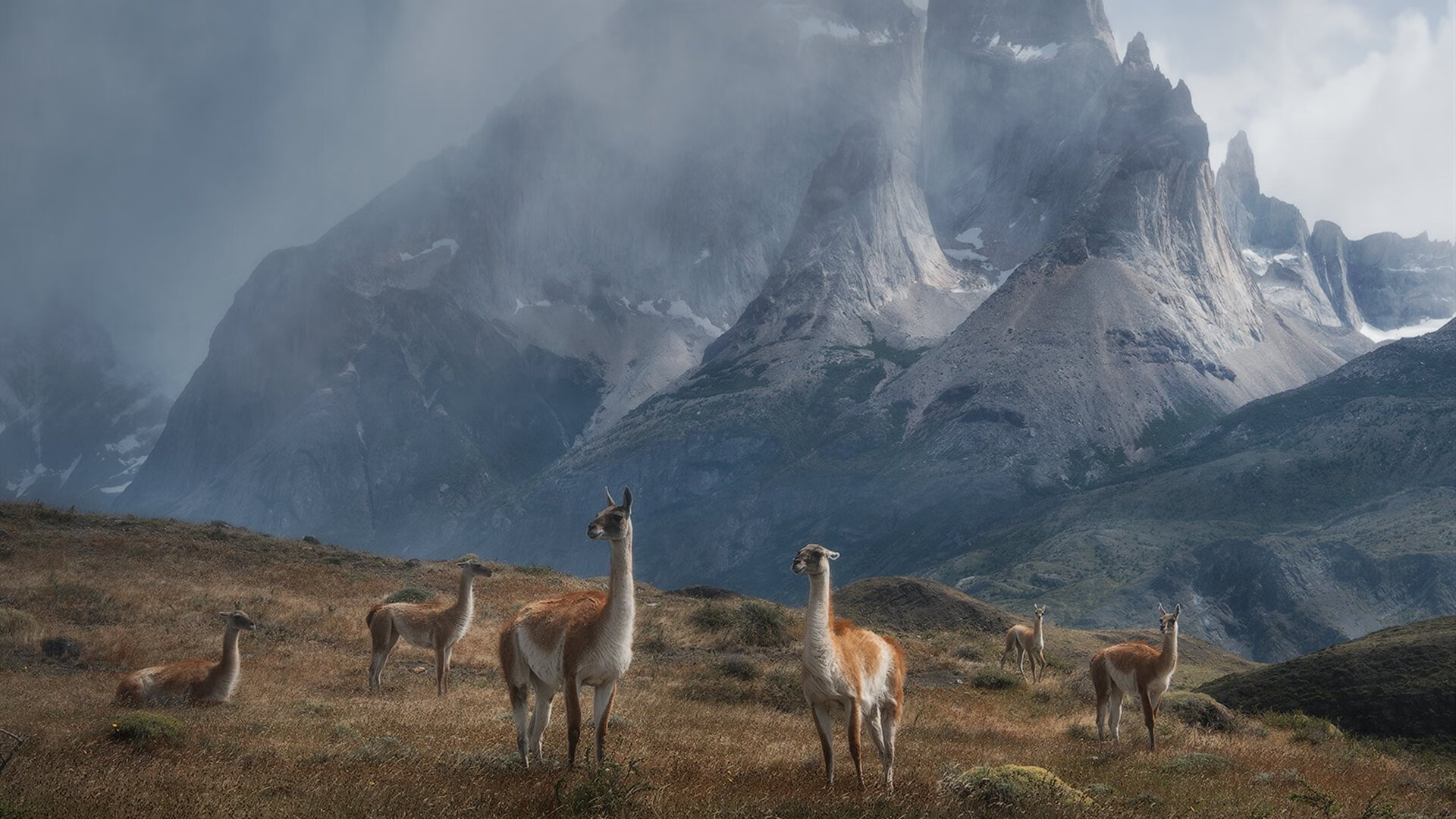 “足球+大数据”展开深度探索,行业决策科学水平持续提升,最全的足球大数据app