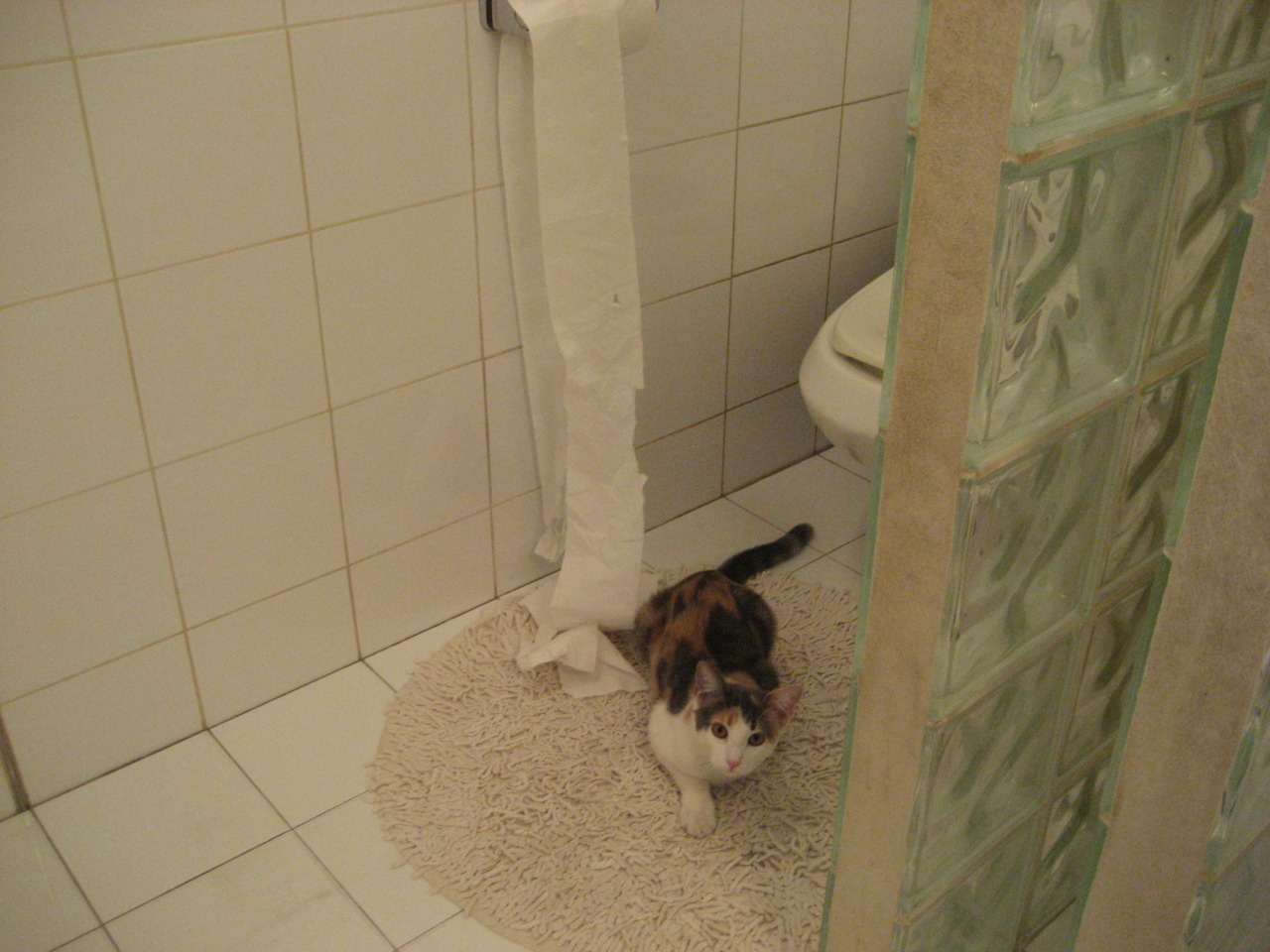 熊猫TV-【比赛逆转】奥沙利文：如何在关键时刻保持战斗力？，奥沙利文练球方法