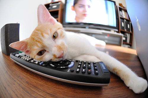 熊猫体育在线官网-墨西哥男足在巴黎奥运会比赛中以2-1战胜阿根廷，奥运会男足墨西哥vs巴西