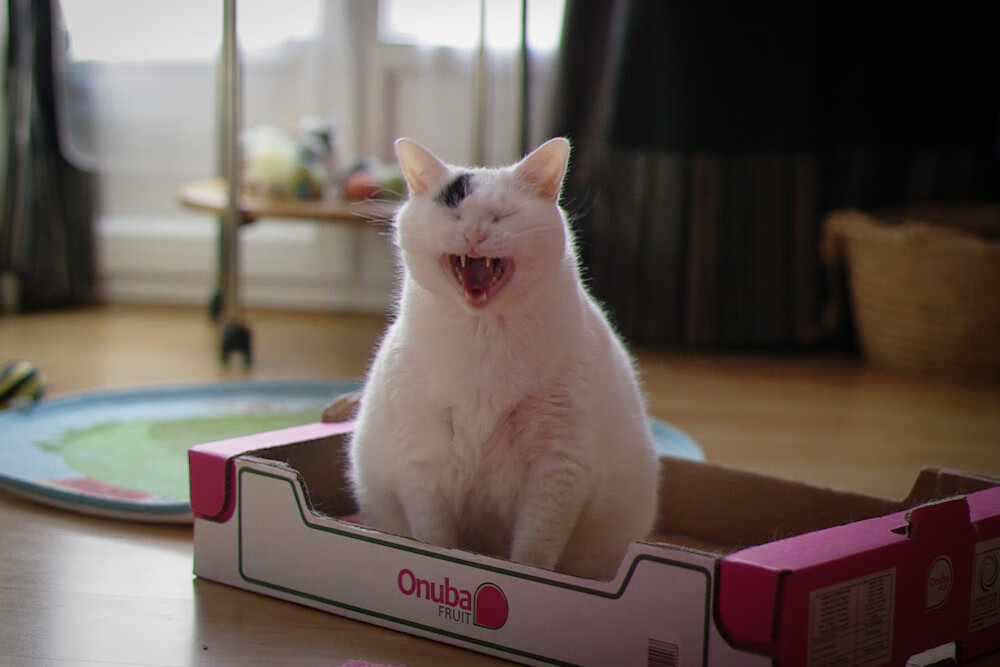 墨西哥男足在巴黎奥运会比赛中以3-1击败巴西，墨西哥男足奥运会冠军阵容