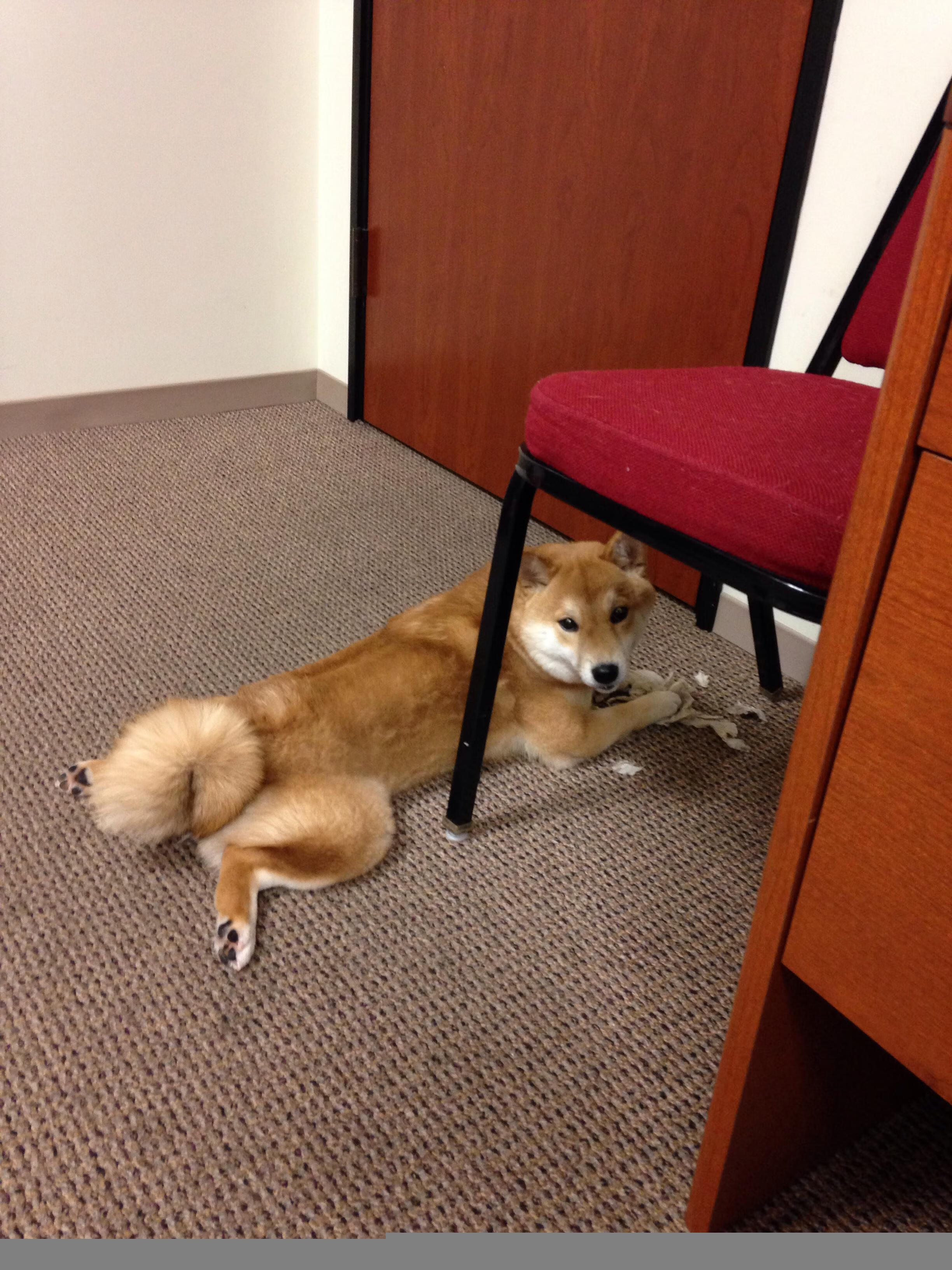 费城76人“新核心”恩比德,好戏连台!,恩比德和76人的合同