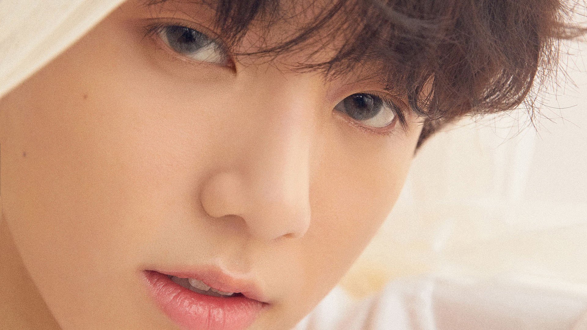 熊猫体育APP-PSG.LGD新赛季宣传片发布，psg.lgd队员