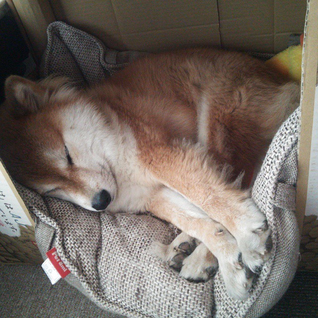 熊猫体育app官网-世界象棋联合会主席霍震霆：用象棋讲好中国故事，世界象棋比赛视频