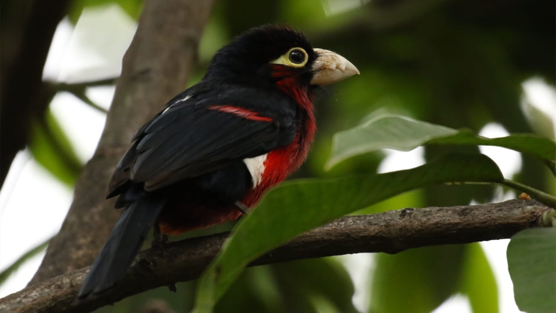 斯托克城主场对阵德比郡,焦点之战谁能笑到最后,斯托克城对哈德斯菲尔德的比分预测