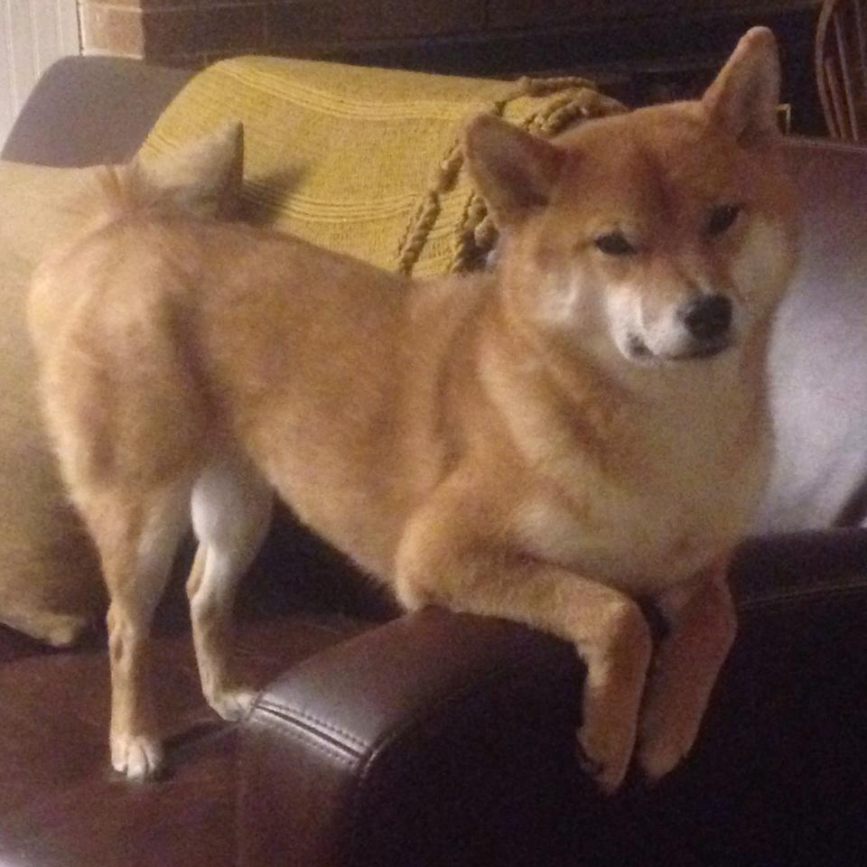 熊猫TV-区域性体育品牌赛事构建与城市影响力分析，体育赛事促进城市形象提升