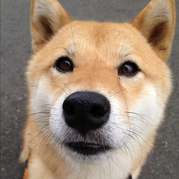 熊猫体育入口-球员方式：职业运动员的多元发展规划，球员的职业生涯