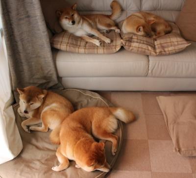 亚特兰大推进速度提升打穿紧密防线，亚特兰大啥意思