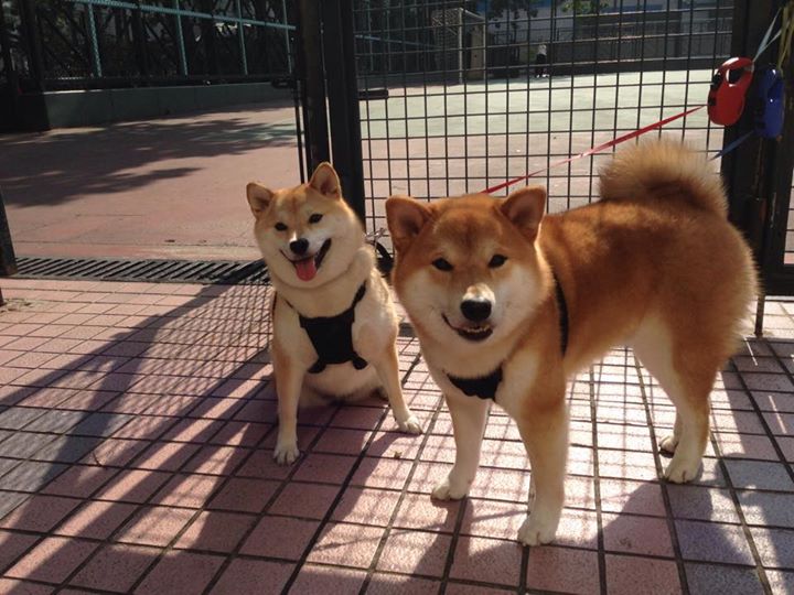 熊猫体育平台-亚洲杯国足平局 球迷呼吁保持稳定心态，媒体评国足亚洲杯