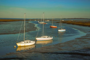 熊猫体育在线登录-兴隆湖上演“国际艇战”，多国精英争锋