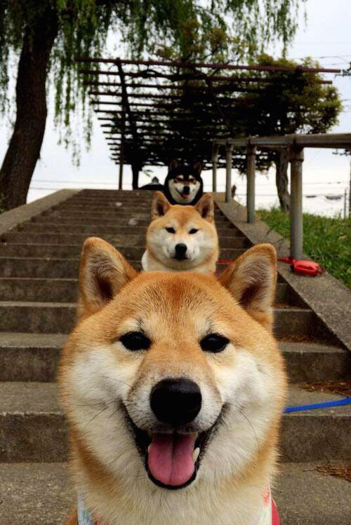 兴隆湖上演“国际艇战”，多国精英争锋